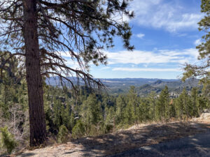 Scenic overlook and winding road along the Needles Highway in the Black Hills.